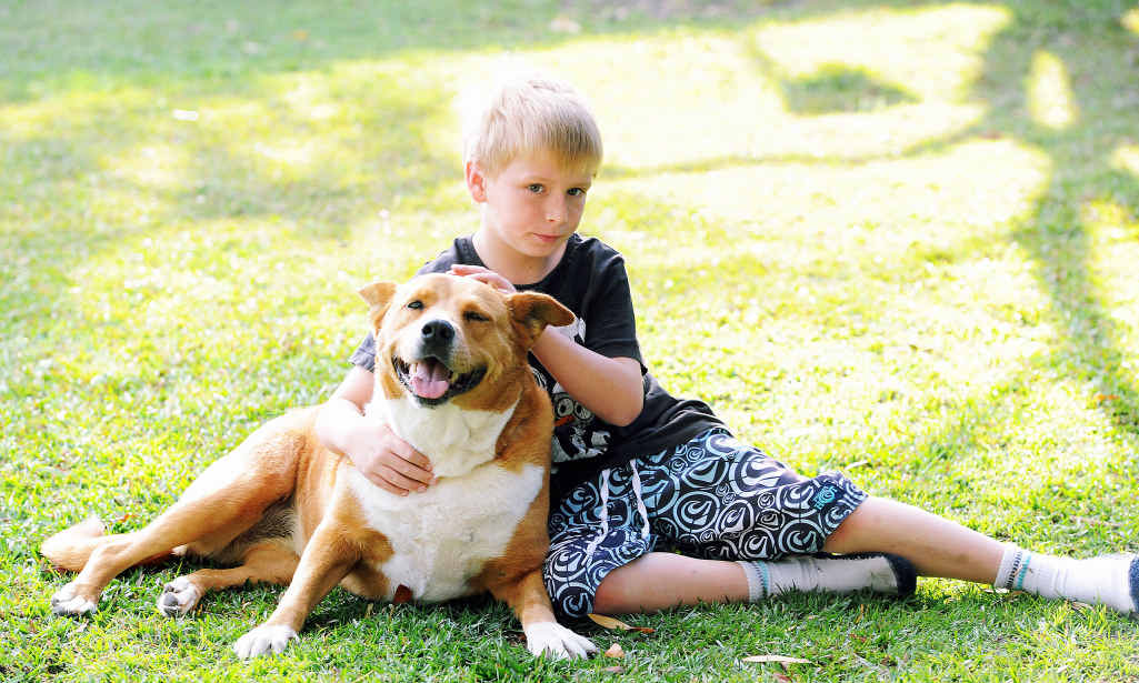 TICKED OFF: Ethan Talbot pictured with Chei. Due to the tick plague, the family buried a pet dog called Stimpy last week. They have also installed a large Colorbond fence for protection but that has failed. And (below) a jar filled with ticks removed from family members and pets. TICKED OFF: Ethan Talbot pictured with Chei. Due to the tick plague, the family buried a pet dog called Stimpy last week. They have also installed a large Colorbond fence for protection but that has failed. And (below) a jar filled with ticks removed from family members and pets.